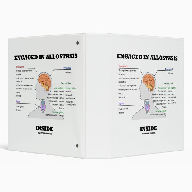 Engaged In Allostasis Inside Endocrine Hormones 3 Ring Binder (Background)