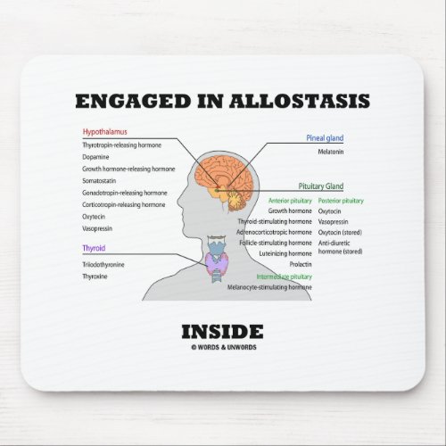 Engaged In Allostasis Inside Endocrine Hormones Mouse Pad