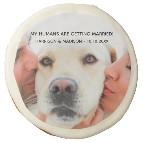 Engagement announcement Custom photo dog couple Sugar Cookie