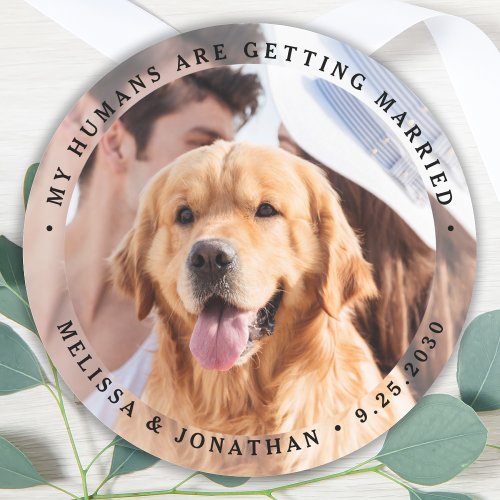 Engagement Photo My Humans Are Getting Married Dog Classic Round Sticker