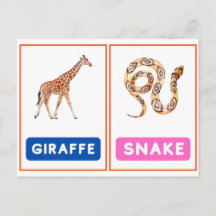 Engaging Wild Animal Flashcards ,Panda,Koala,Snake