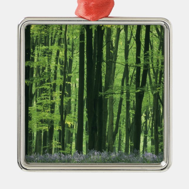England, Beech forest & Bluebells Metal Ornament (Front)