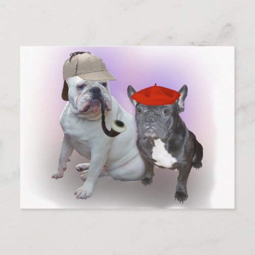 English and French bulldogs Postcard