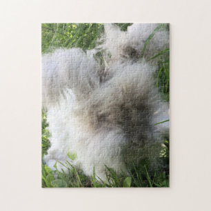 English Angora Rabbit "Bradley" Jigsaw Puzzle