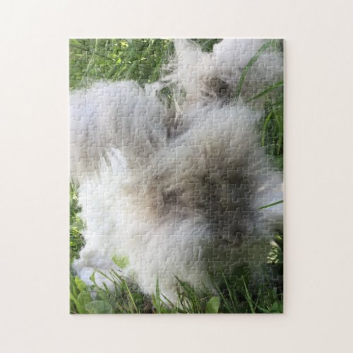 English Angora Rabbit Bradley Jigsaw Puzzle