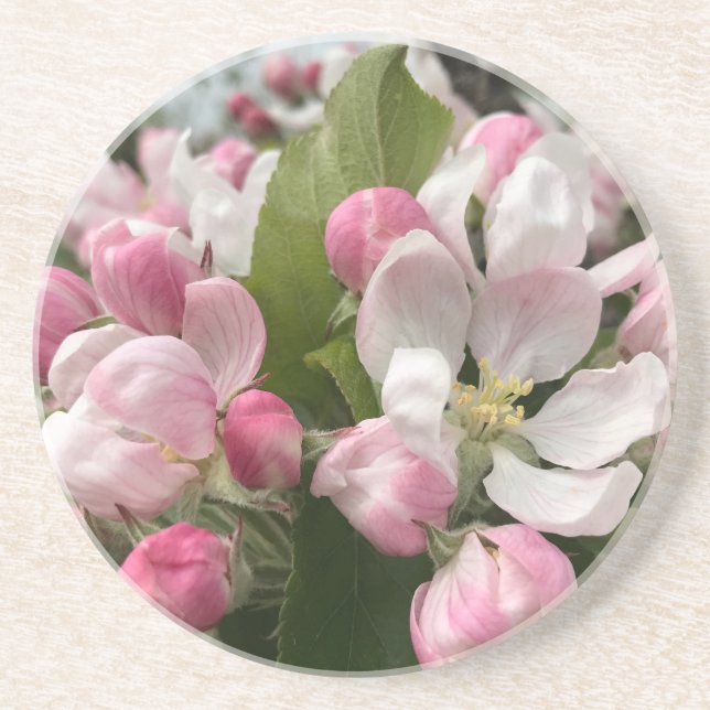  English Apple Blossom  Coaster (Front)