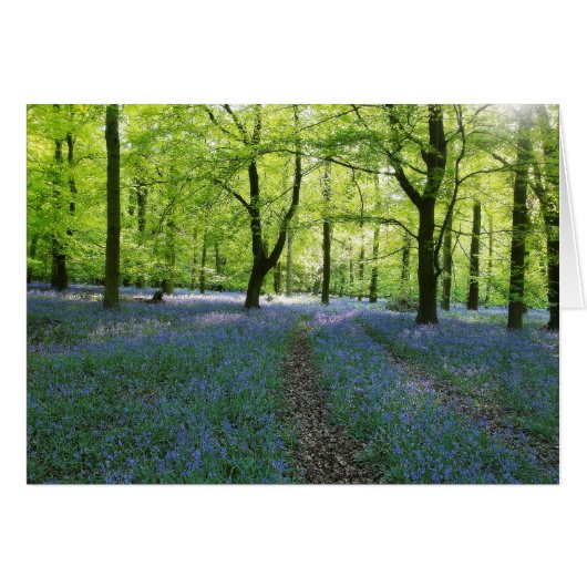 English Bluebells Cards (Front Horizontal)