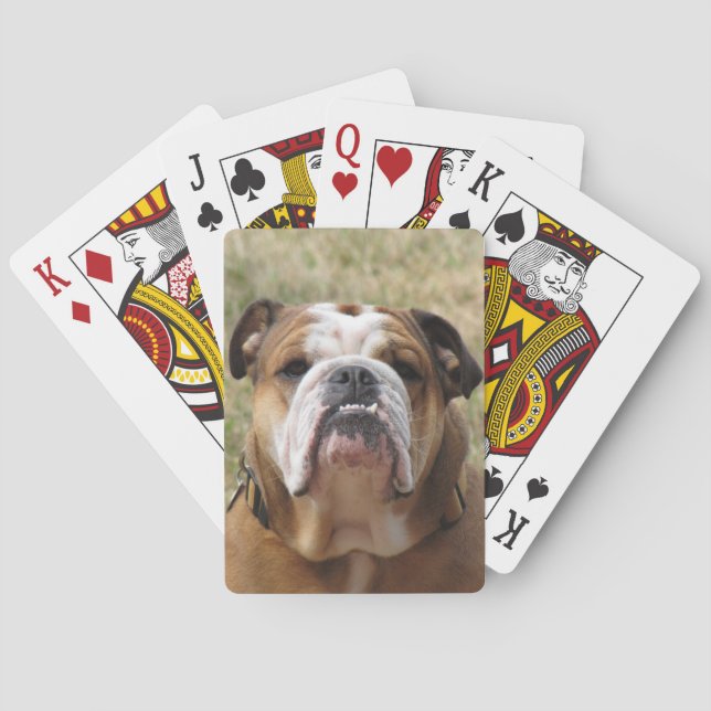 English bull dog deck of playing cards (Back)