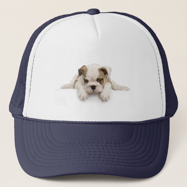 English Bull Dog Hat (Front)