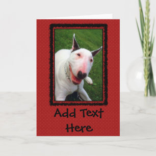 English Bull Terrier Card