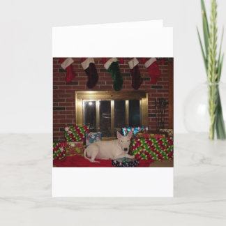 english bull terrier christmas present fireplace holiday card