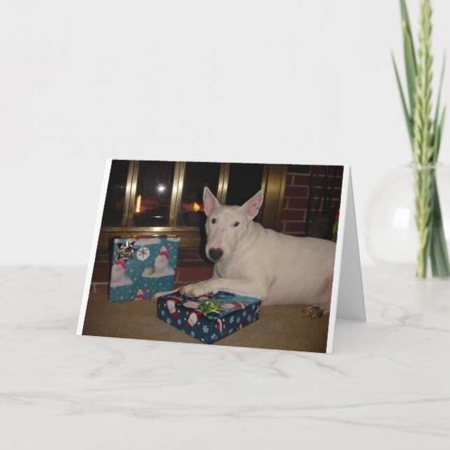 english bull terrier christmas present holiday card (Front)