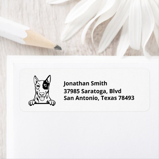 ENGLISH BULL TERRIER | Image of Head Address Label (Insitu)