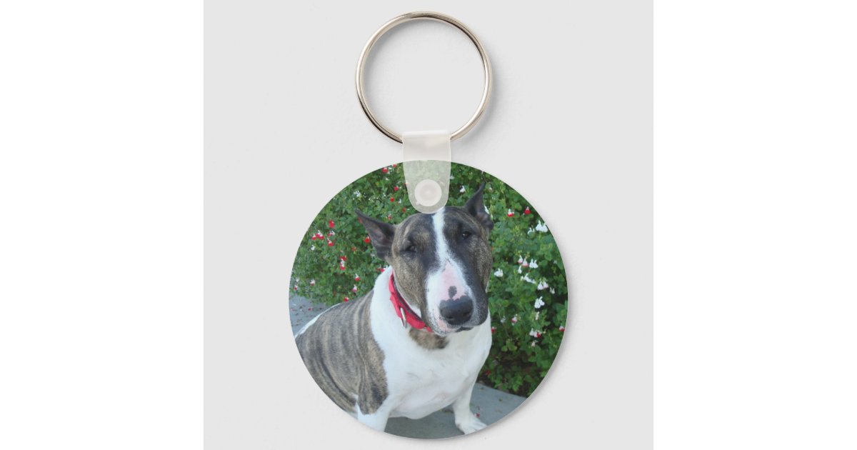 Just Bully English Bull Terrier Cartoon Dog - English Bull Terrier -  Sticker