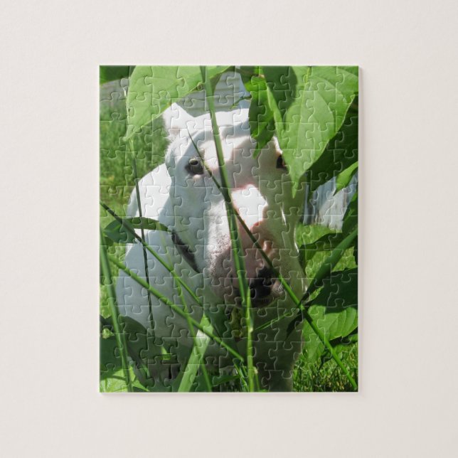 English Bull Terrier Peeking Through the Leaves Jigsaw Puzzle (Vertical)