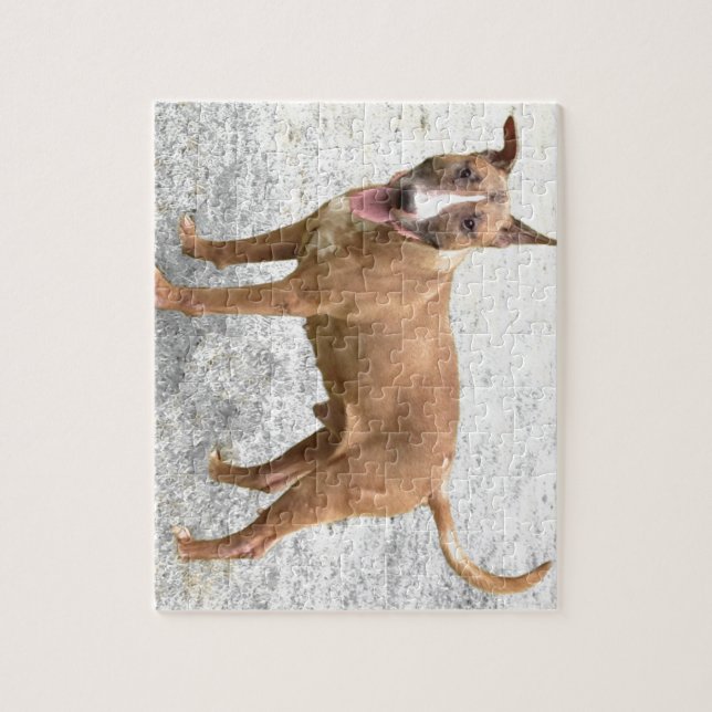 English Bull Terrier Puzzle (Vertical)