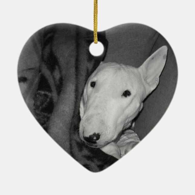 English Bull Terrier Snuggled Under a Blanket -BW Ceramic Ornament (Back)