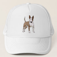 English Bull Terrier