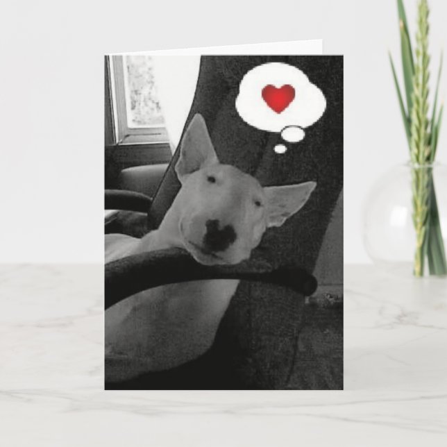 english bull terrier valentine holiday card (Front)