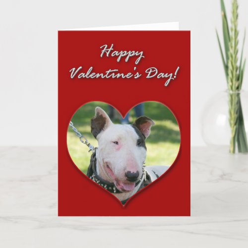 English Bull Terrier Valentines Day Card
