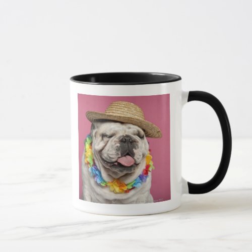 English Bulldog 18 months old wearing a straw Mug