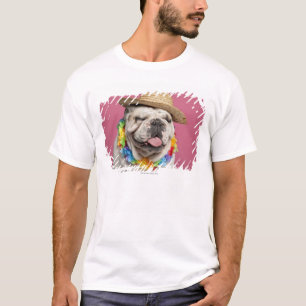 English Bulldog (18 months old) wearing a straw T-Shirt