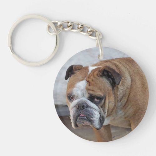 English Bulldog Acrylic Key Ring  Dog Keyring