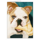 English Bulldog "Adagio" (Front)