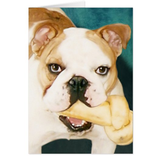 English Bulldog "Adagio" (Front)