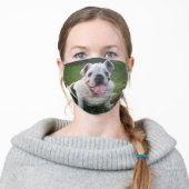 ENGLISH BULLDOG ADULT CLOTH FACE MASK (Worn)