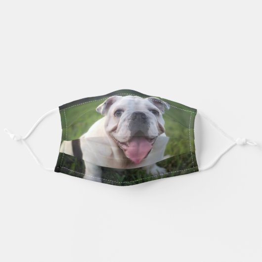 ENGLISH BULLDOG ADULT CLOTH FACE MASK (Front, Unfolded)