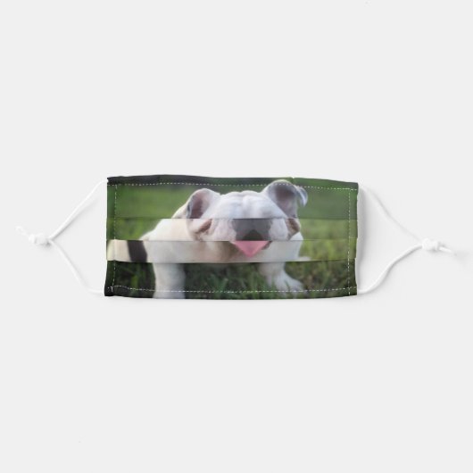 ENGLISH BULLDOG ADULT CLOTH FACE MASK (Front, Folded)