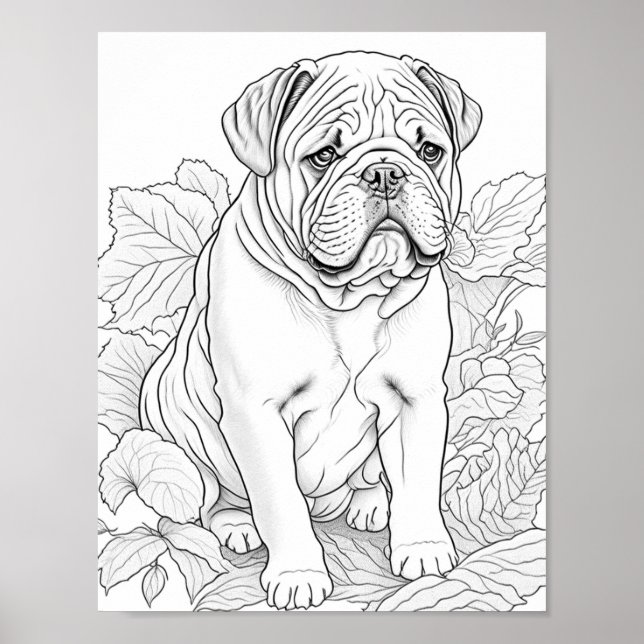 English Bulldog Adult Coloring Poster (Front)