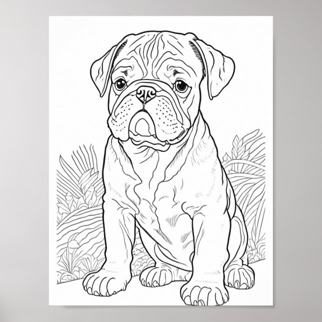 English Bulldog Adult Coloring Poster (Front)