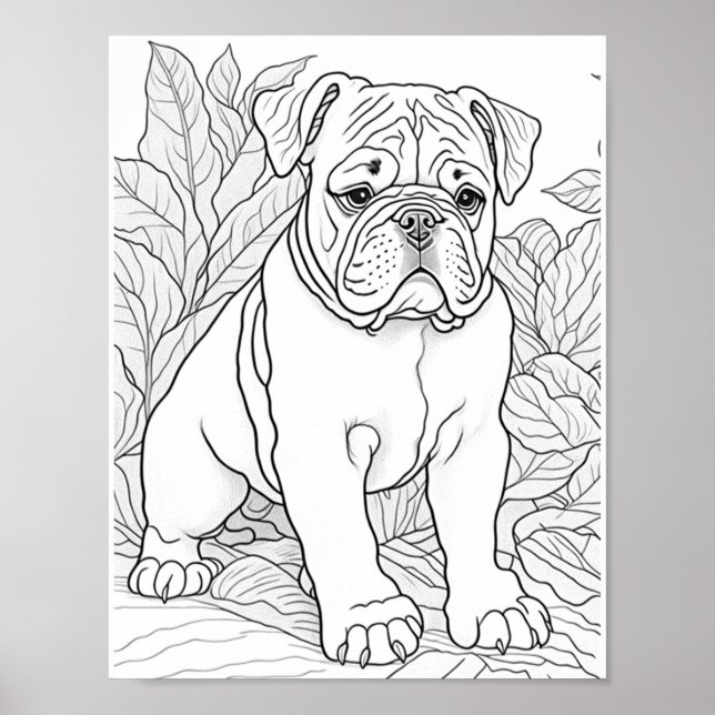 English Bulldog Adult Coloring Poster (Front)