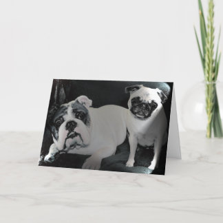 English Bulldog and Pug Greeting Card