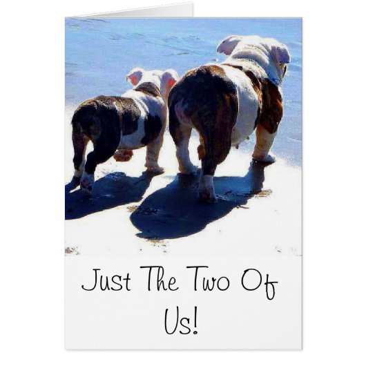 English Bulldog and Puppy Cards (Front)