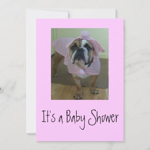 English Bulldog Baby Shower Invitations