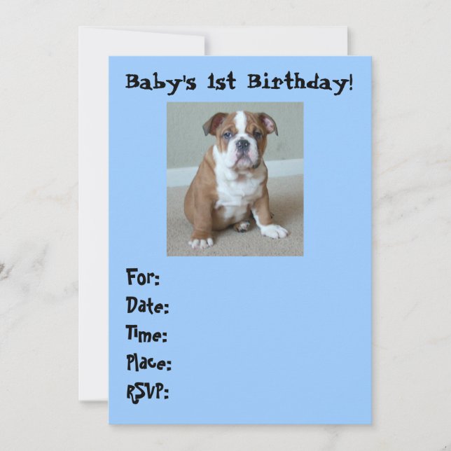 English Bulldog Baby's 1st Birthday Invitations (Front)