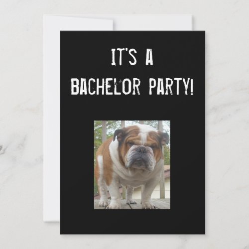 English Bulldog Bachelor Party Invitations