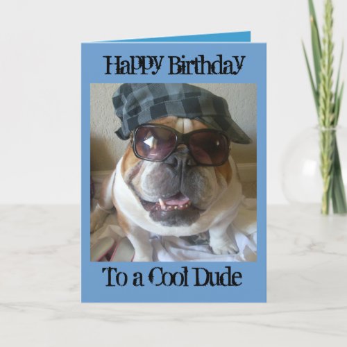 English Bulldog Birthday Card Cool Dude Card