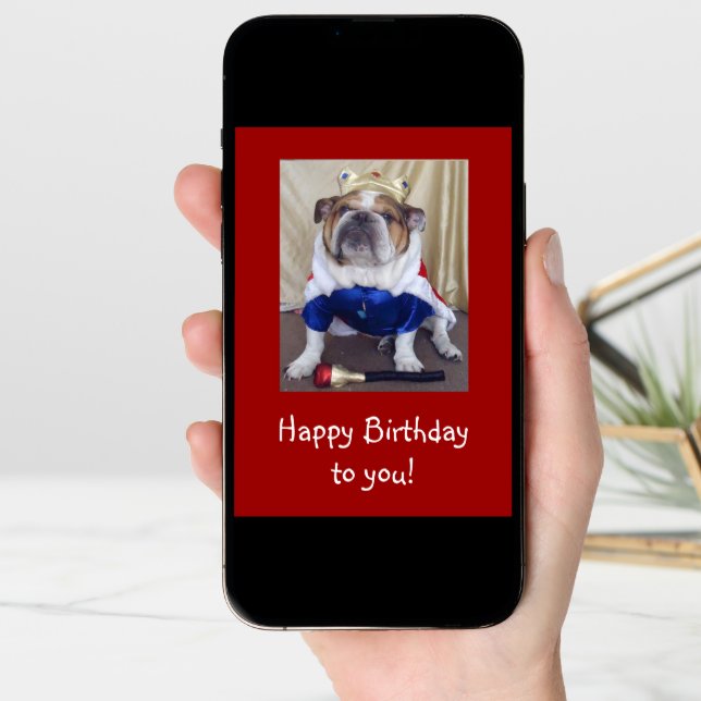 English Bulldog Birthday Card, Royalty Card (Front Digital)