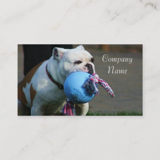 Customizable English bulldog business cards
