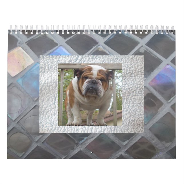 English Bulldog Calendar (Cover)