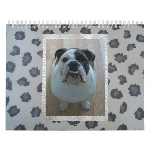 English bulldog calendar calendar