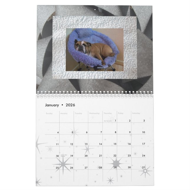 English bulldog calendar! calendar (Jan 2026)