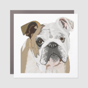 English Bulldog Car Magnet