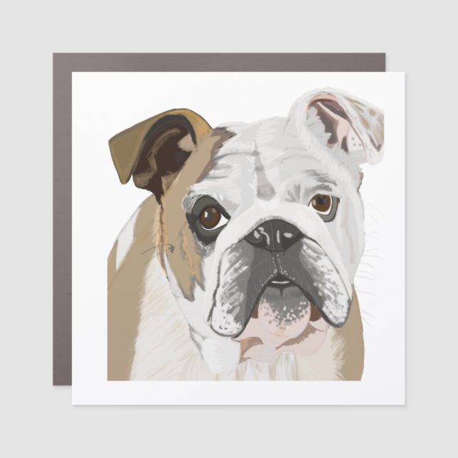 English Bulldog  Car Magnet (Front)