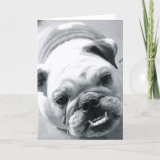 English Bulldog Card