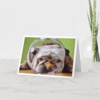 English Bulldog Card